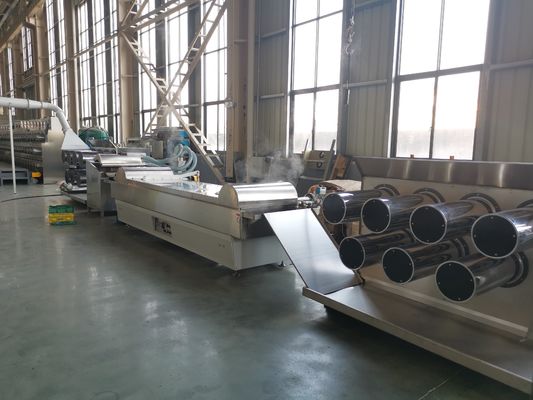 কেনা 55kw 6400 Dtex নাইলন এক্সট্রুডার মেশিন গার্ডেন ডেকোরেশন online manufacture